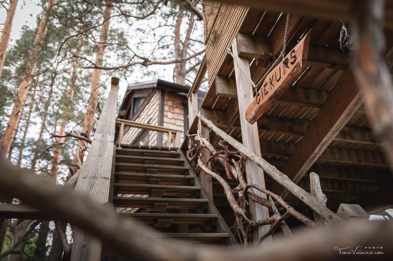 Вилла Treehouse Ciekurs Dukuri Экстерьер фото