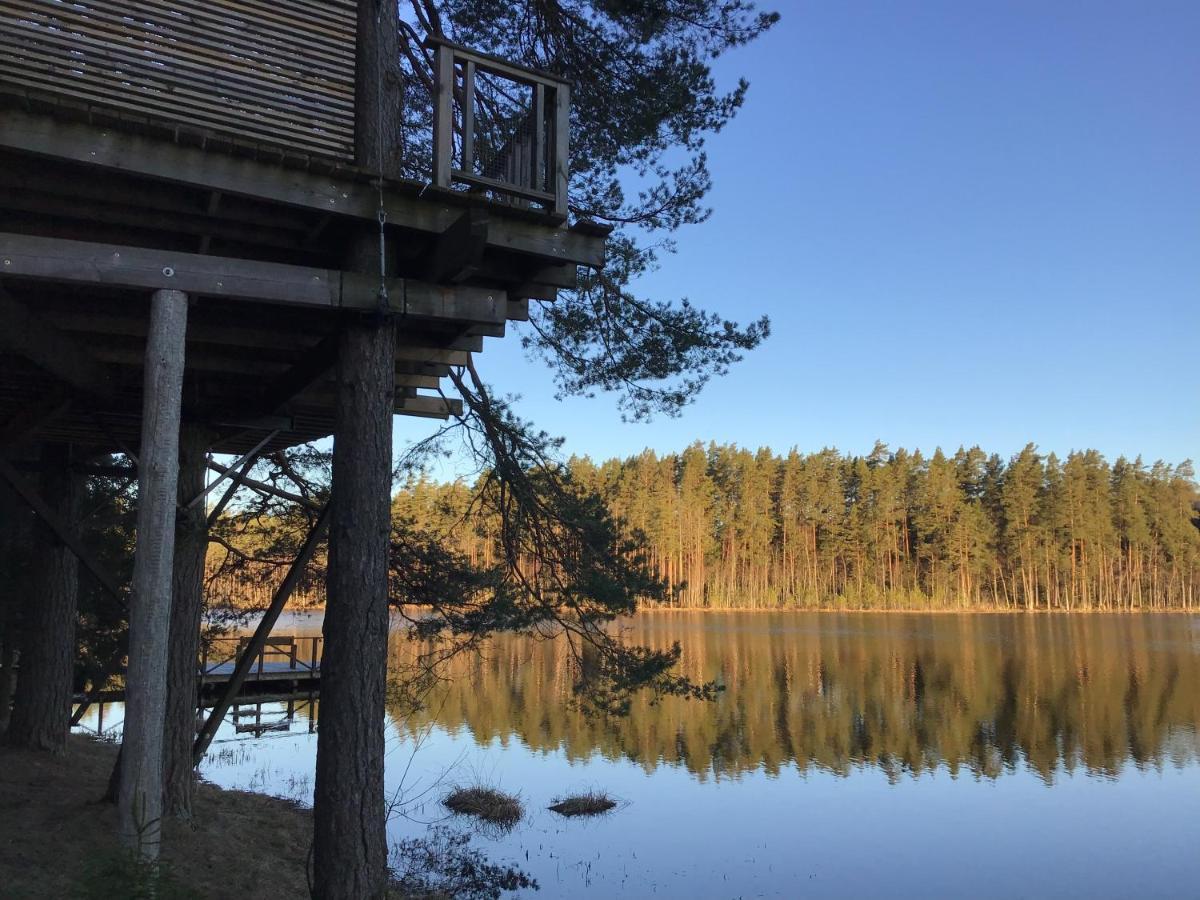 Вилла Treehouse Ciekurs Dukuri Экстерьер фото