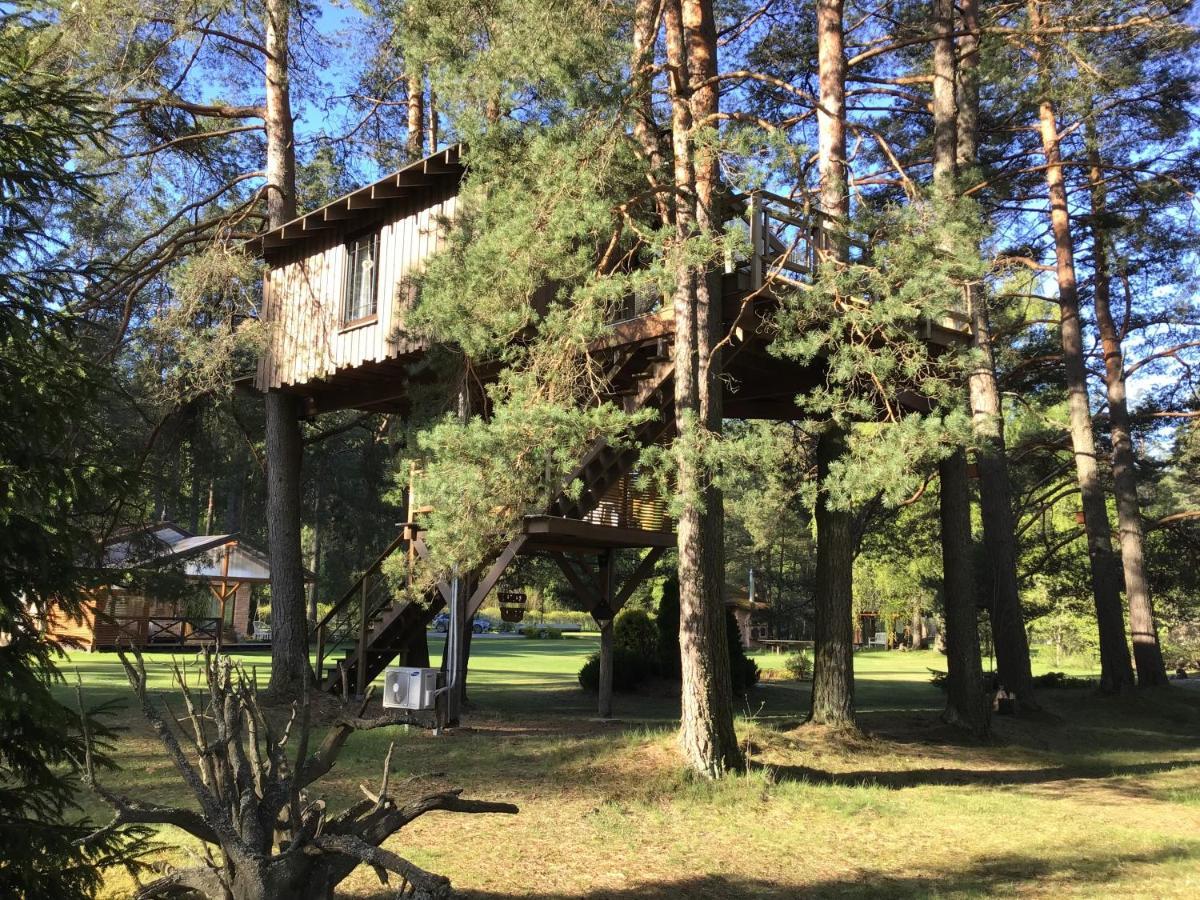 Вилла Treehouse Ciekurs Dukuri Экстерьер фото