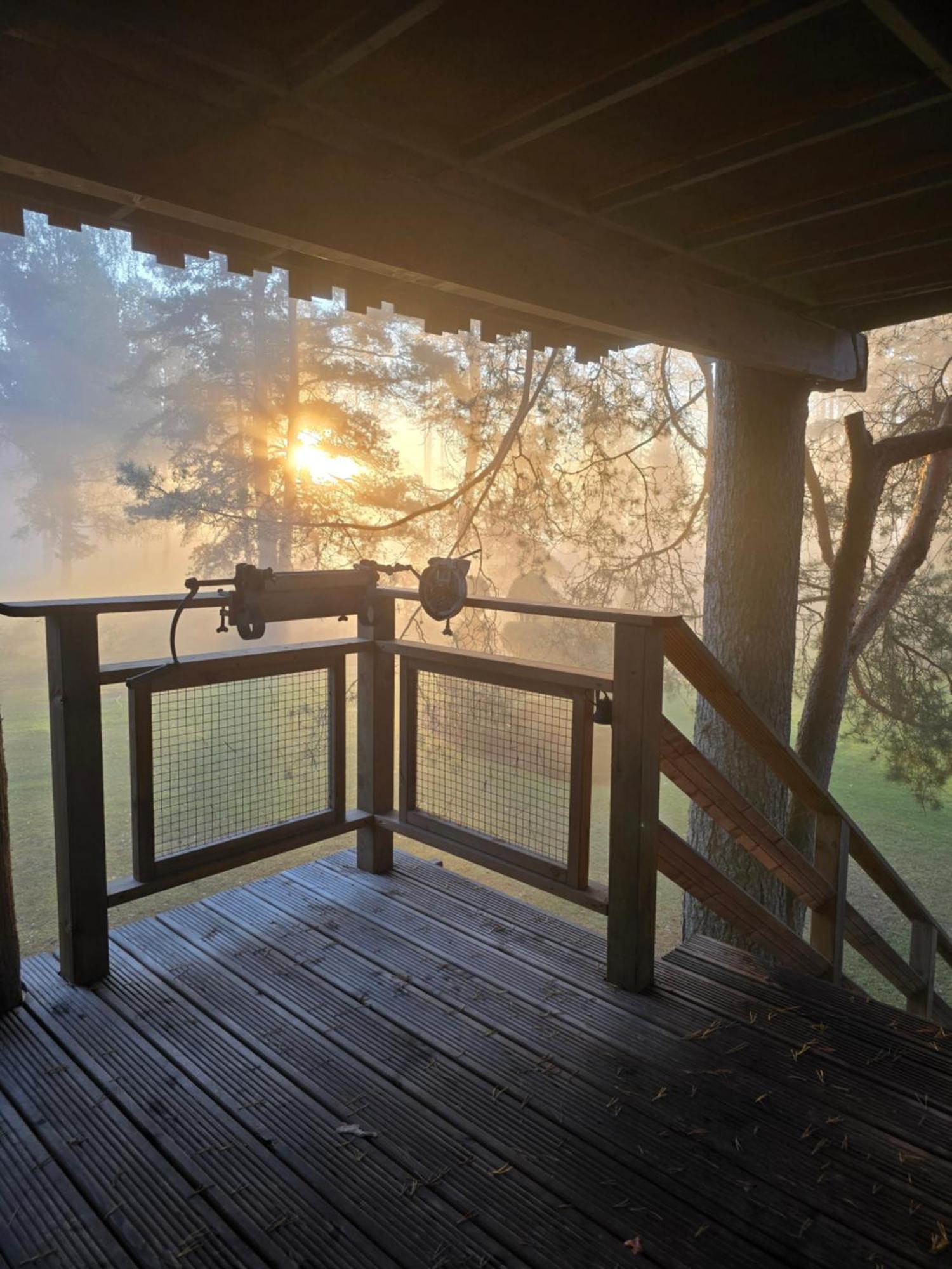 Вилла Treehouse Ciekurs Dukuri Экстерьер фото