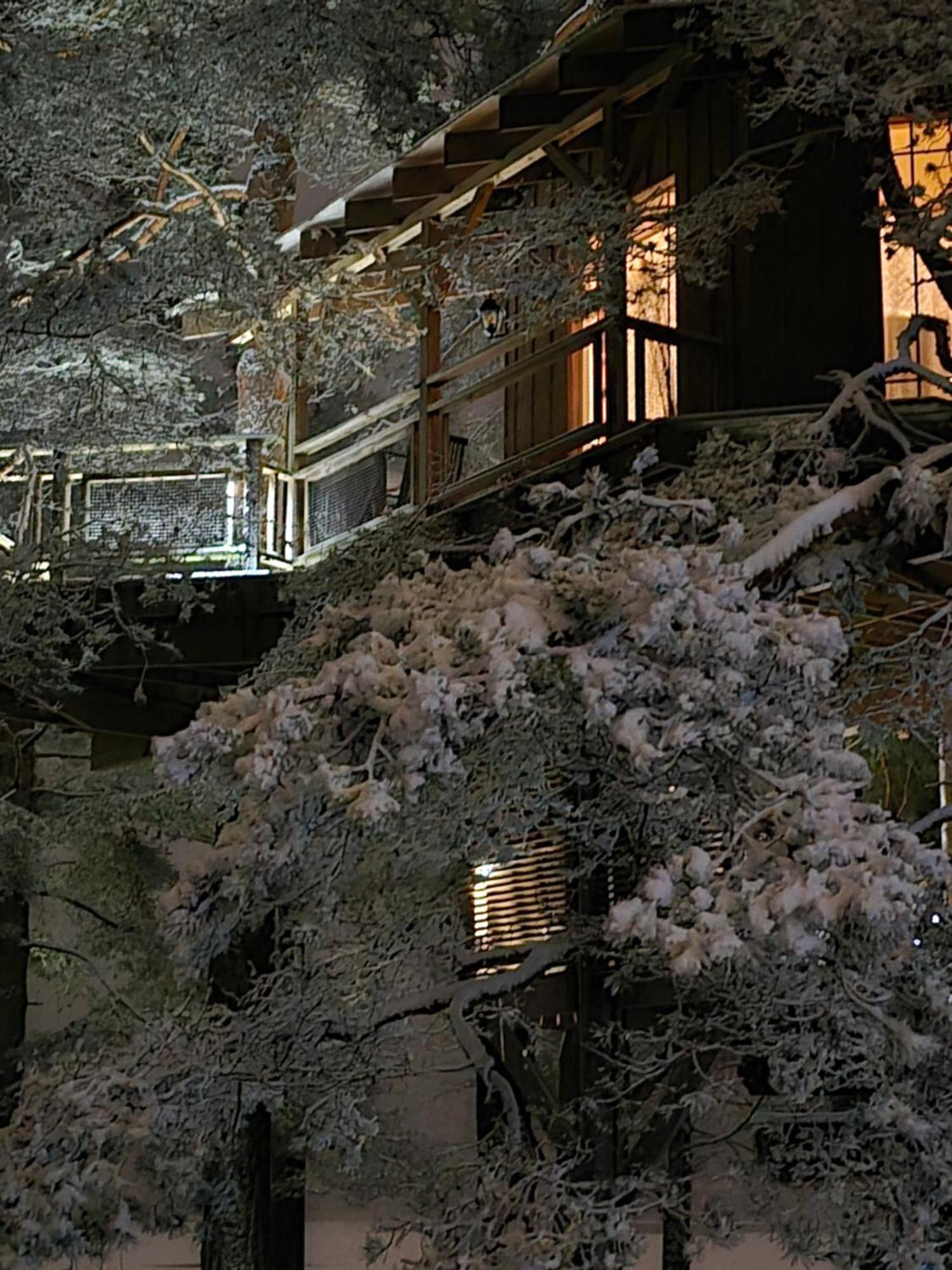 Вилла Treehouse Ciekurs Dukuri Экстерьер фото