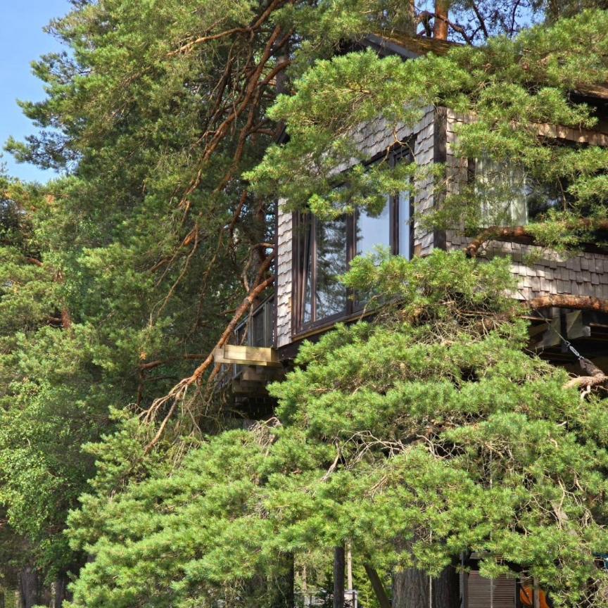 Вилла Treehouse Ciekurs Dukuri Экстерьер фото