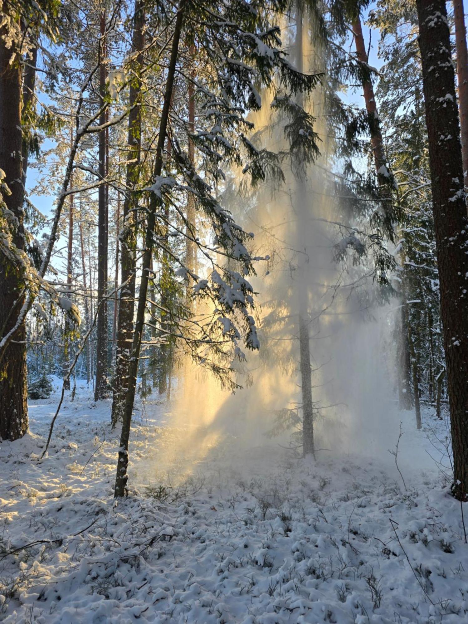 Вилла Treehouse Ciekurs Dukuri Экстерьер фото