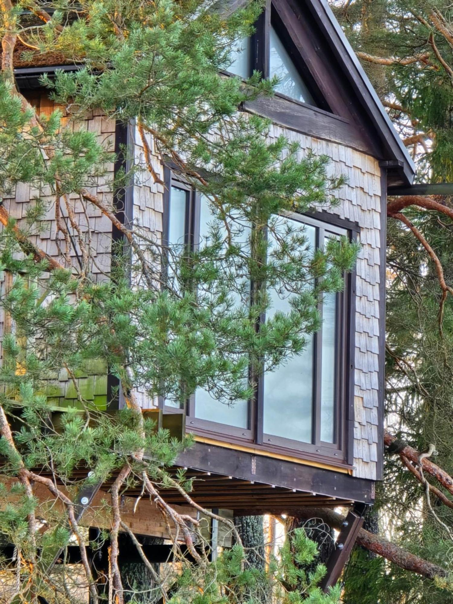 Вилла Treehouse Ciekurs Dukuri Экстерьер фото